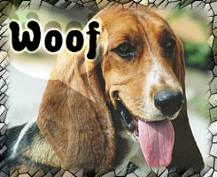 woof.jpg (25963 octets)